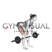 Romanian Deadlifts
