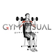 Shoulder press dumbels